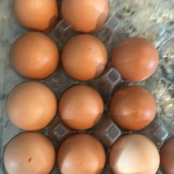 Organic Chicken Eggs $7 Dozen 