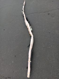Honda Accord Passenger Side