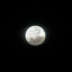 1 oz American Eagle Silver Dollar, I Take Bitcoin  -Free Silver Stacking e-Book