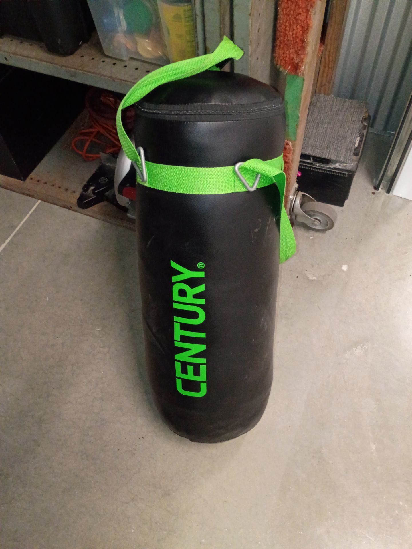 Century punching bag