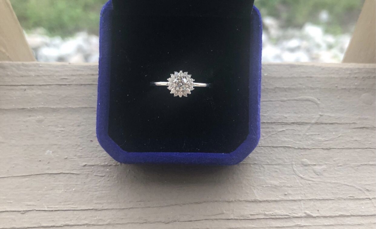 Beautiful New Sterling Silver .925 Sparkling Moissanite Ring Size 8-COA-Pics Don’t Do It Justice