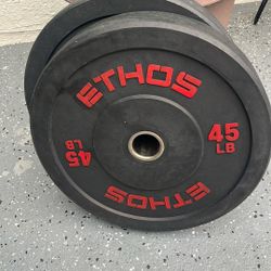 2 Plates 45 Pounds Each