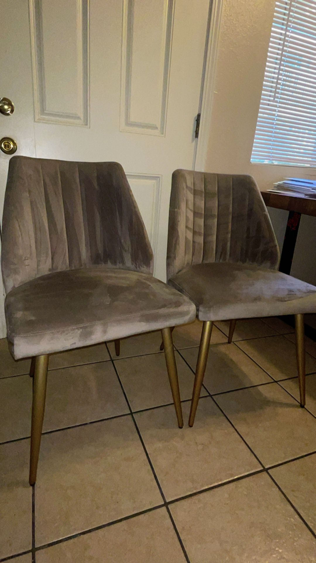 2 World Market Dining Chairs