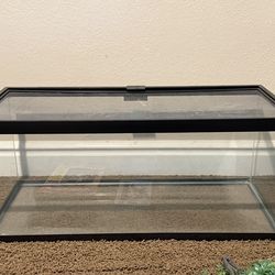 Reptile Terrarium and Supplies
