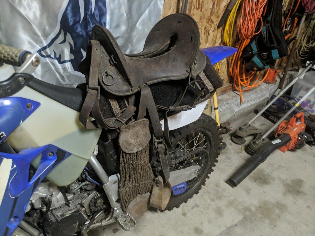 Saddle