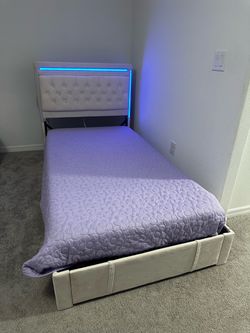 Cama