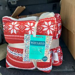 Blanket And Pillow Set 