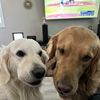 Zach