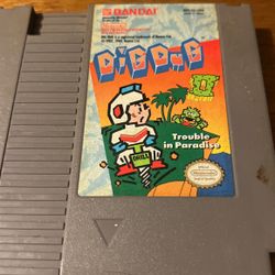 Dig dug Nintendo Game