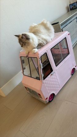 Our Generation Ice Cream truck