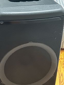 Dolphin  speaker