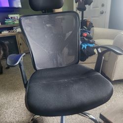 Computer / Office Chair