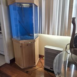 Fish Tank