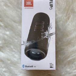 JBL Flip 6