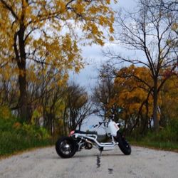 2020 Ice bear Mad Dogg