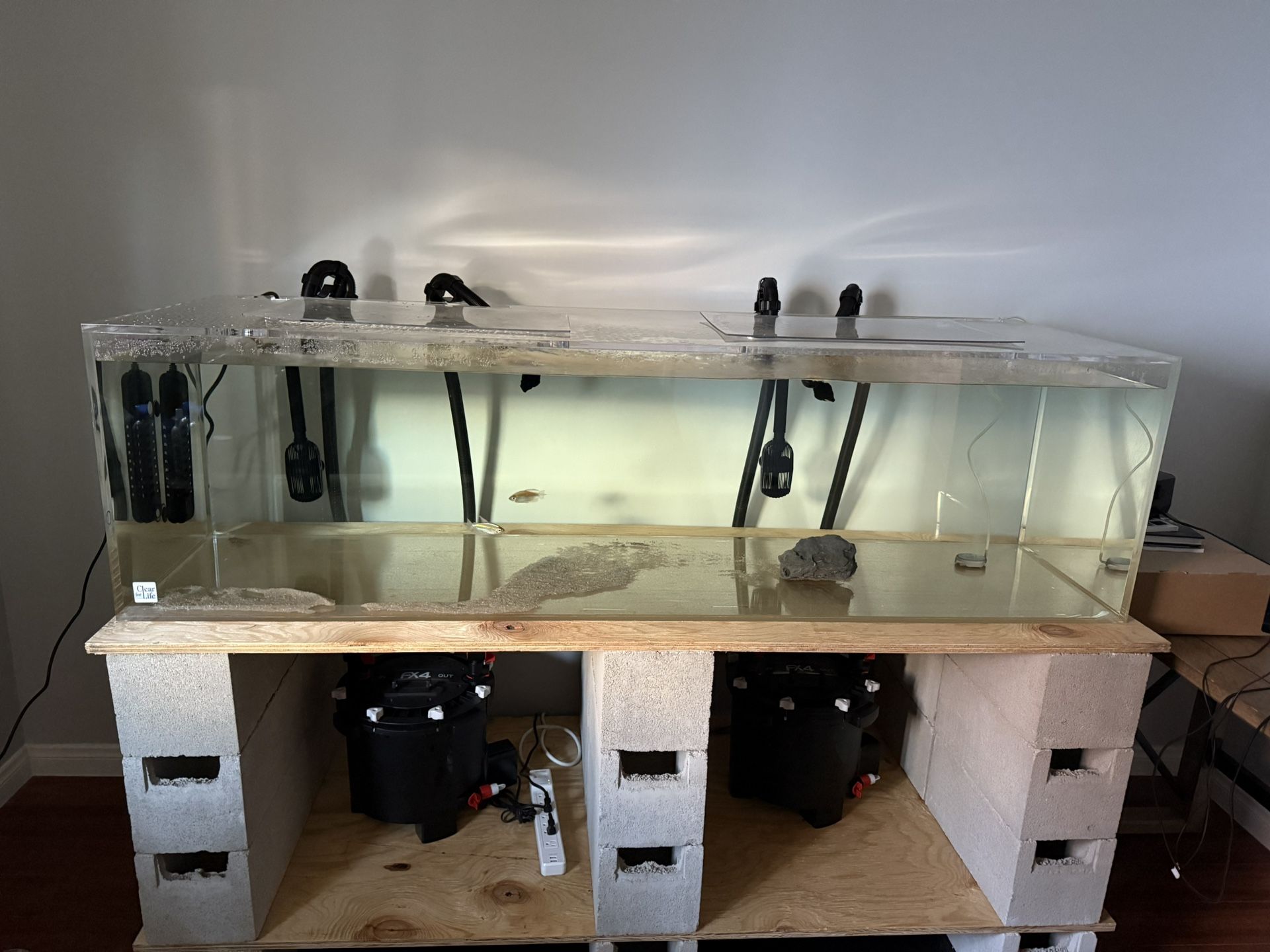 150 Gal Fish Tank