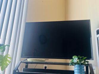 Vizio Flat Screen TV