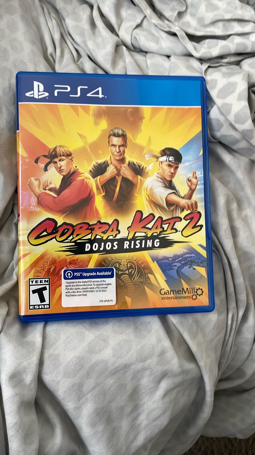 Cobra Kai 2 Dojos Rising