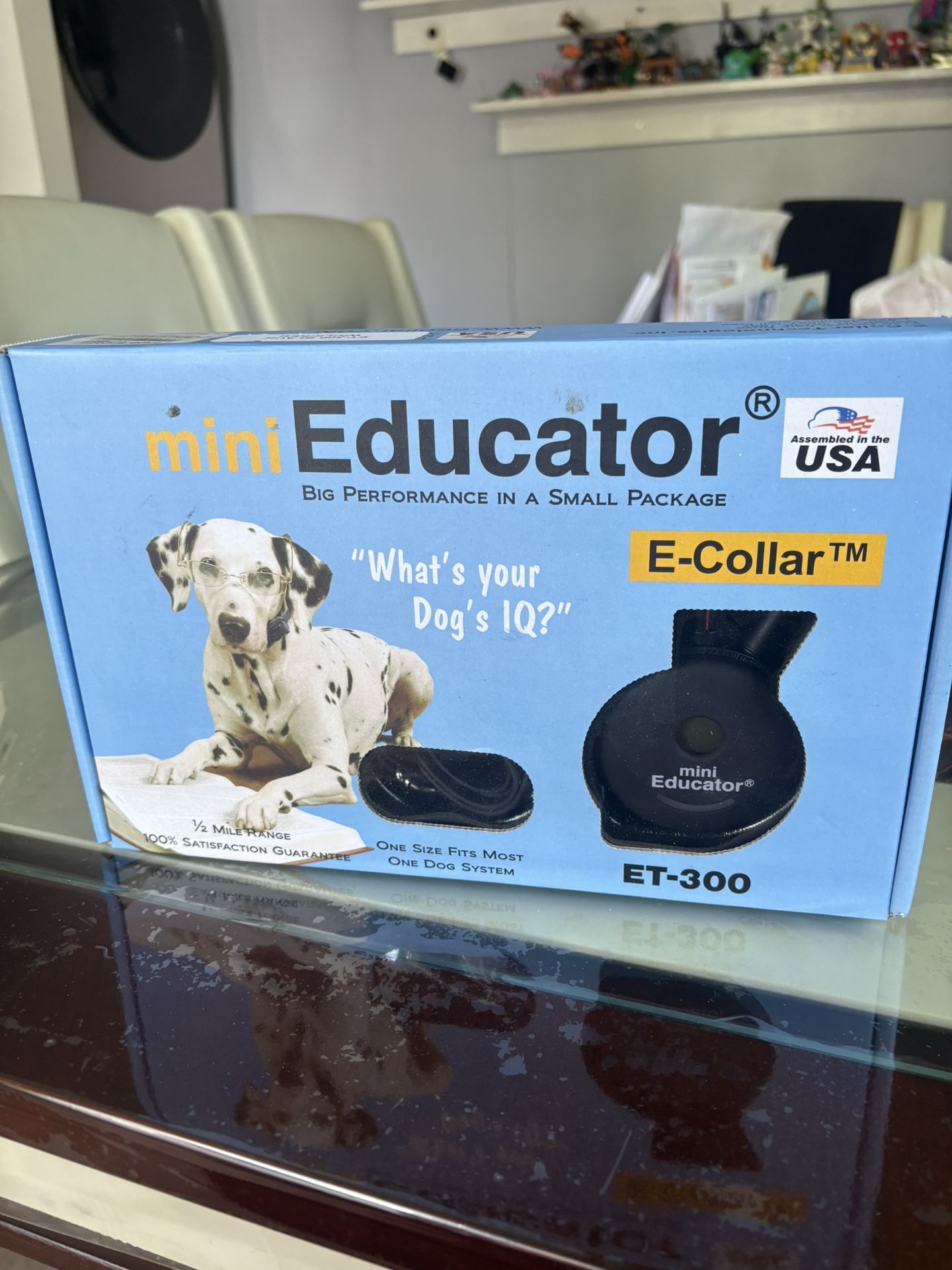 Mini Educator