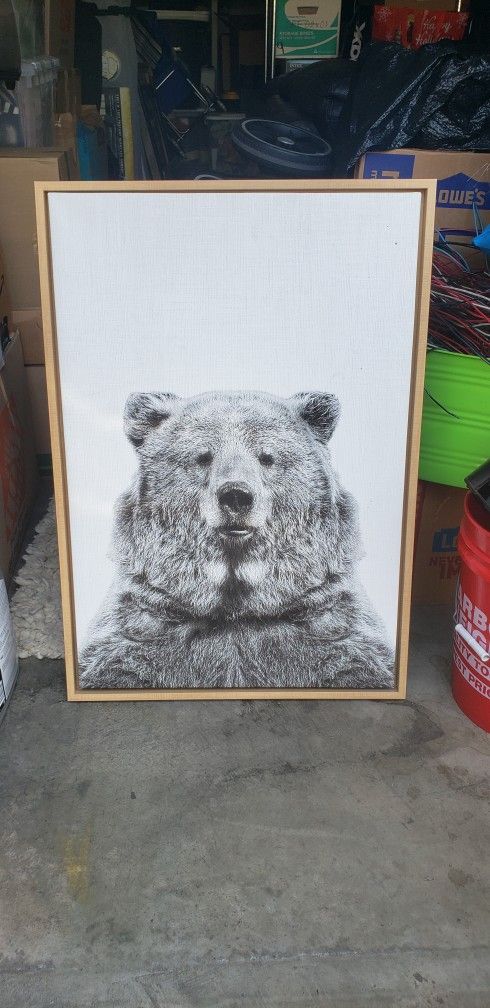 Black And White Bear Picture