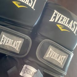 Everlast Boxing Gloves