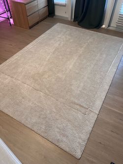 Light Sand colored Rug