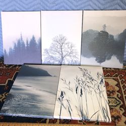 6 Art Canvas Prints Birds Trees Ocean 