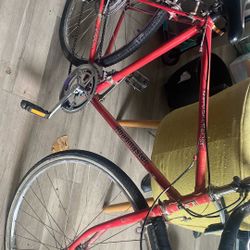 Road Master 10 Speed 