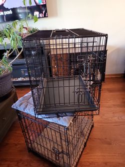 Good Condition Jaula De Dog