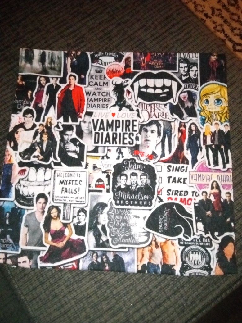 Pillow Case Cover (Vampire Of A Diary)