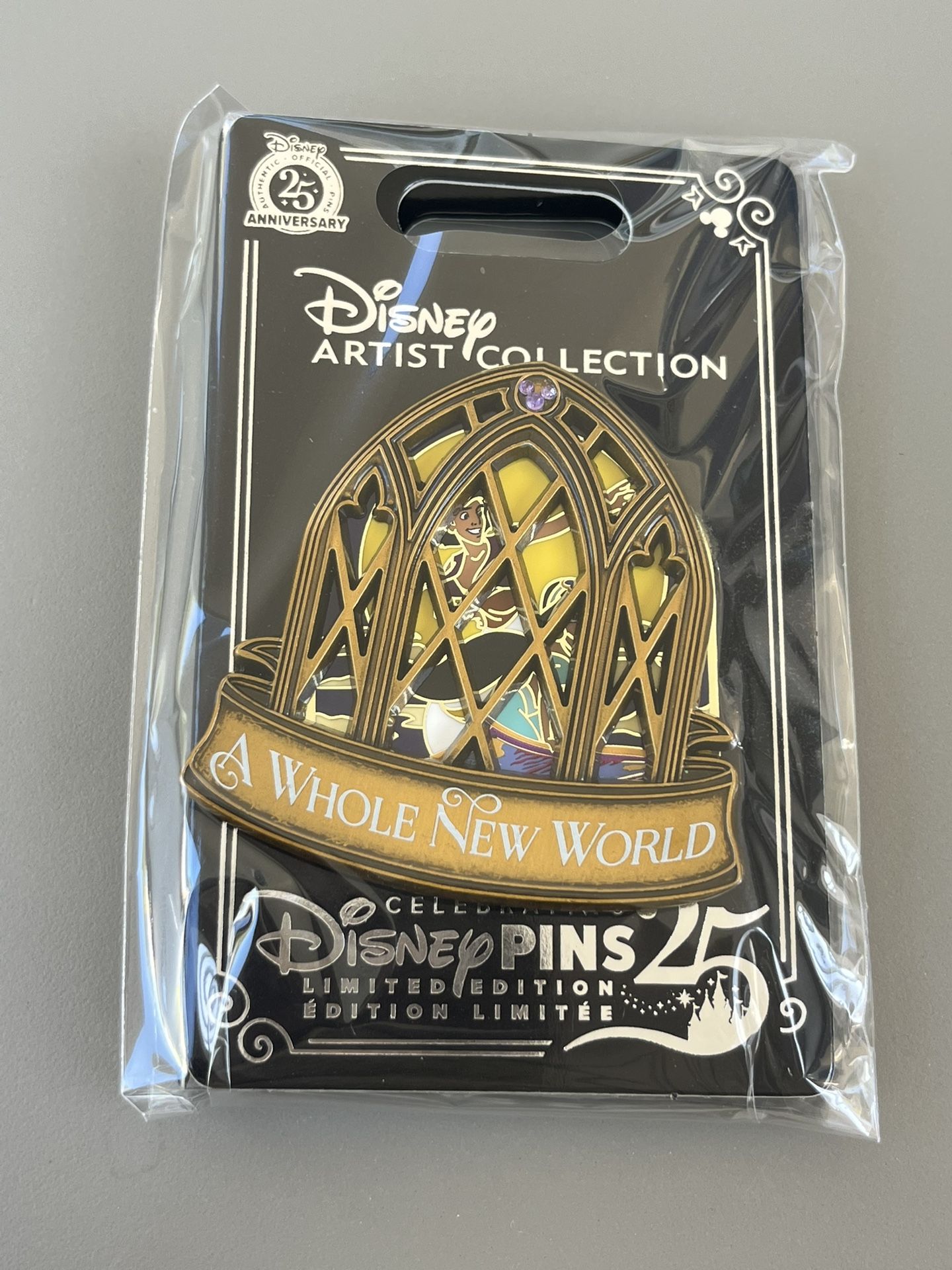 Disney artist collection Jes Willis pin Aladdin “a whole new world” limited edition