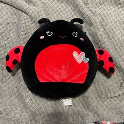 Lady Bug Squishmallows
