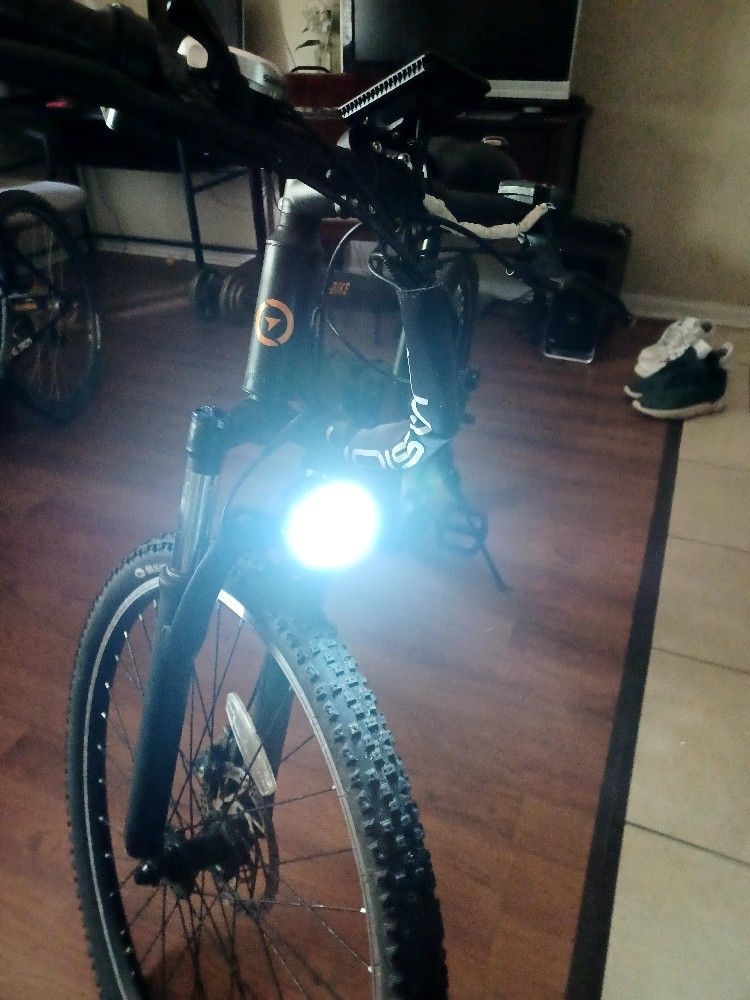 Electric Bike