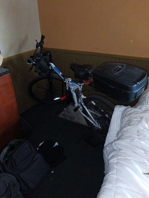 Vivi Sport E-Bike