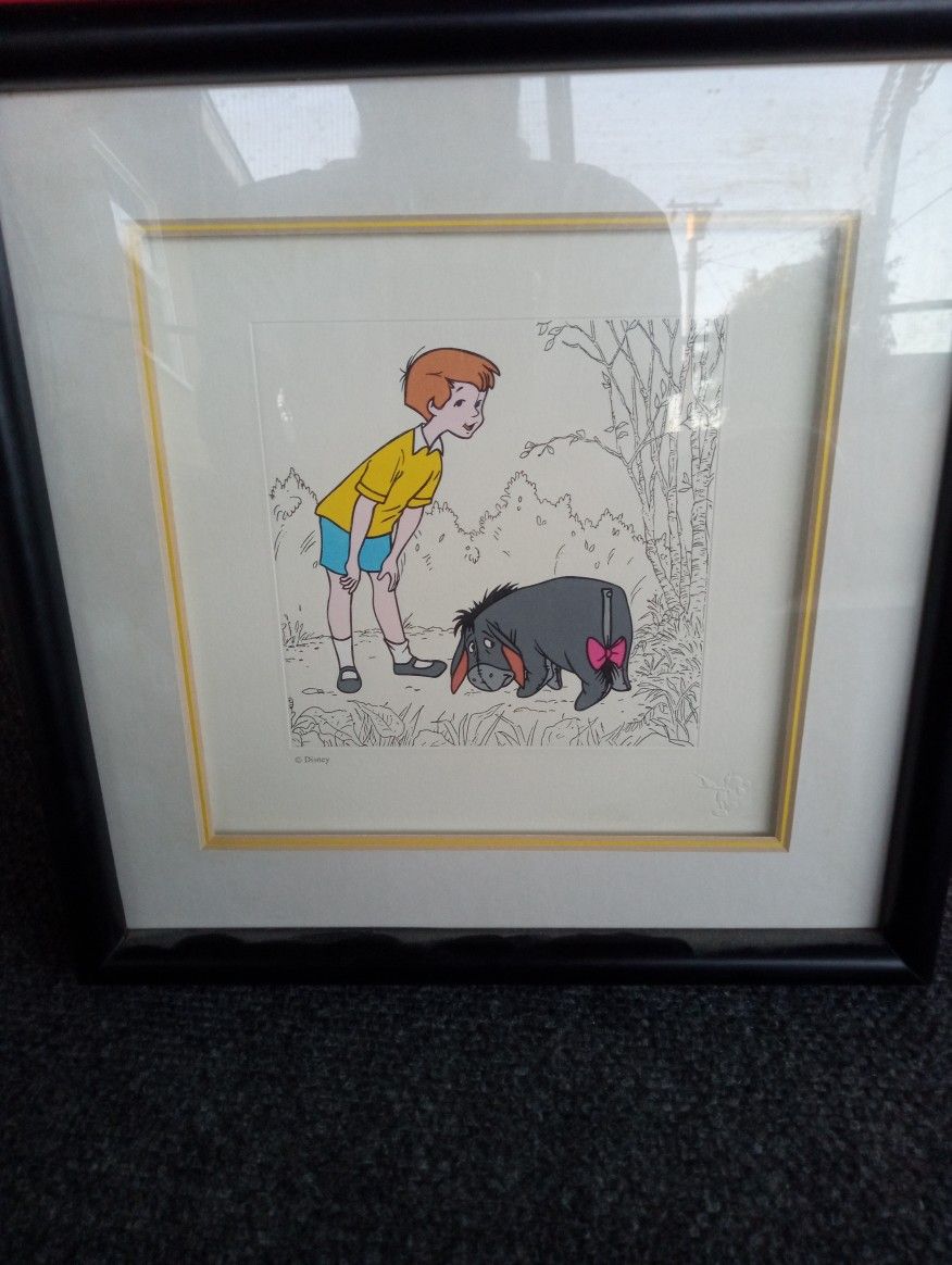 Disney Authenticated Pictures 