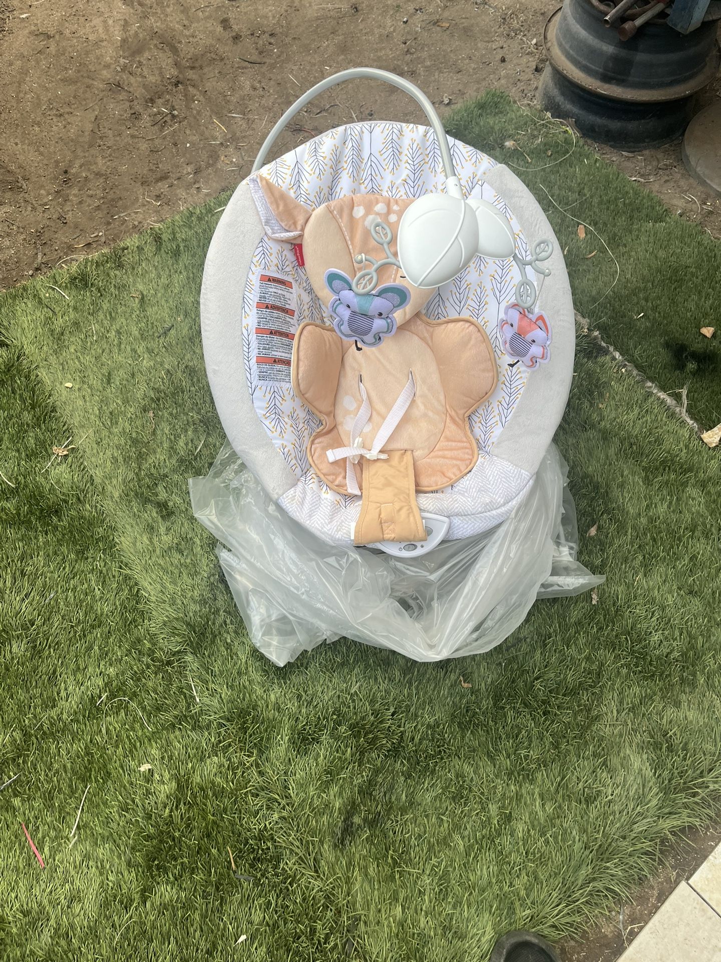 Fisher-price Infant To Toddlers Rocker