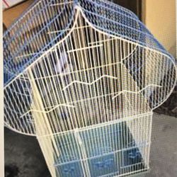 Bird CAGE