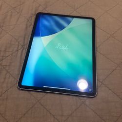 iPad Pro 11inch