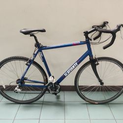 Scattante 28" 700c 18-Speed Carbon Fiber Fork Commuter/Road Hybrid Bike - Light 24" 60cm Frame - Dual Shimano Sora Shifters - TUNED! (MSRP $1,000)