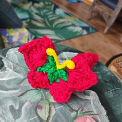 Butterfly Scrubbies 