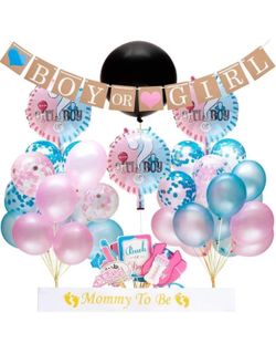 gander reveal decoration 113 pices boy or girl balloon decor blue and pink