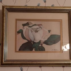Framed Magnolia picture
by C Bellou.