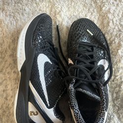 Kobe 6 Protro