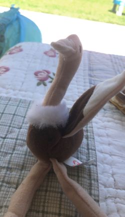 Teenie Beanie Babies Ostrich