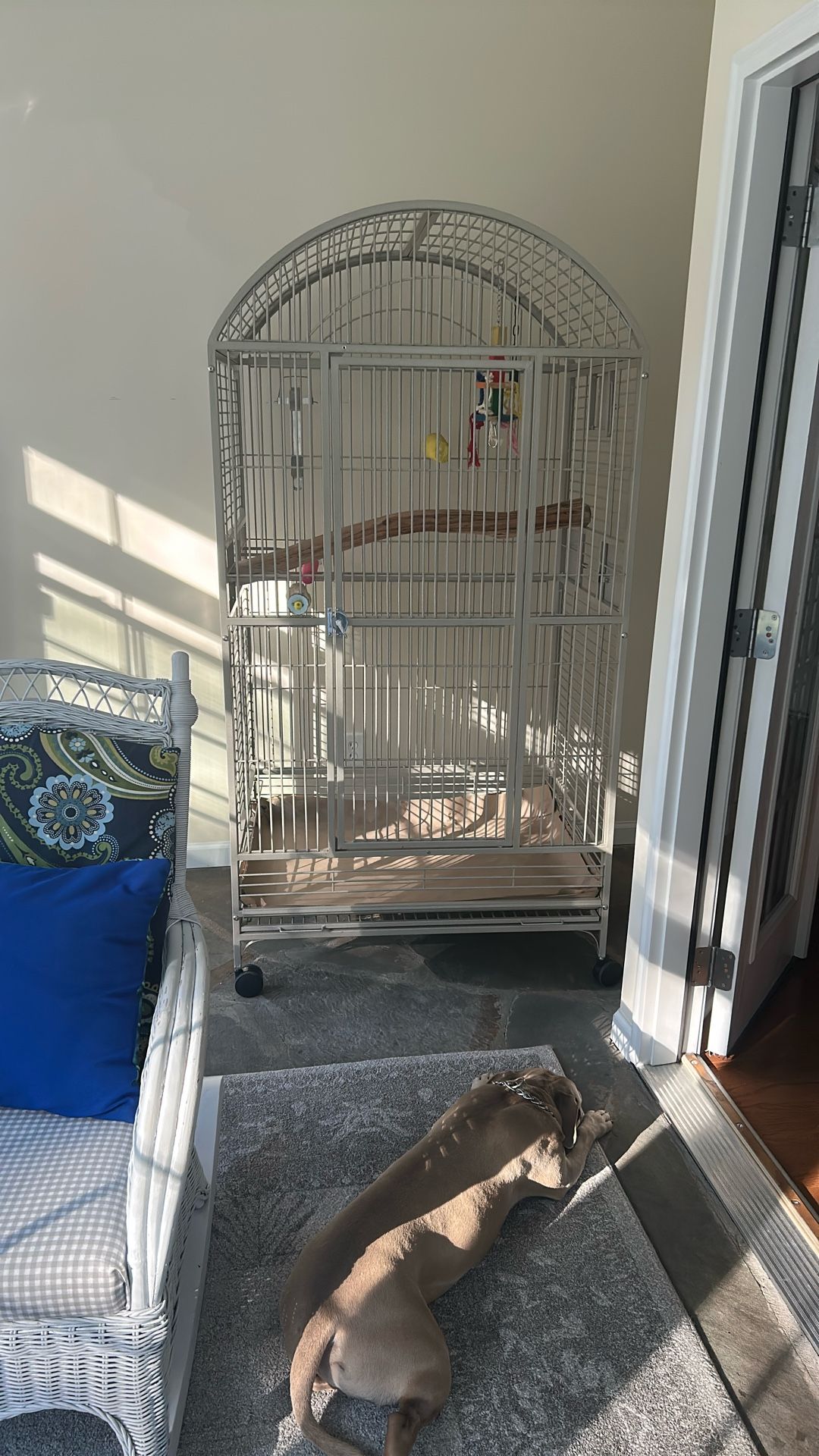 Parrot Cages Macaw Size