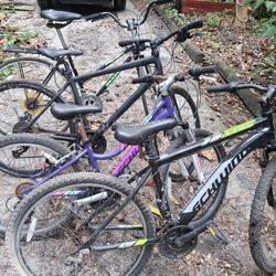 Three Bike DEAL