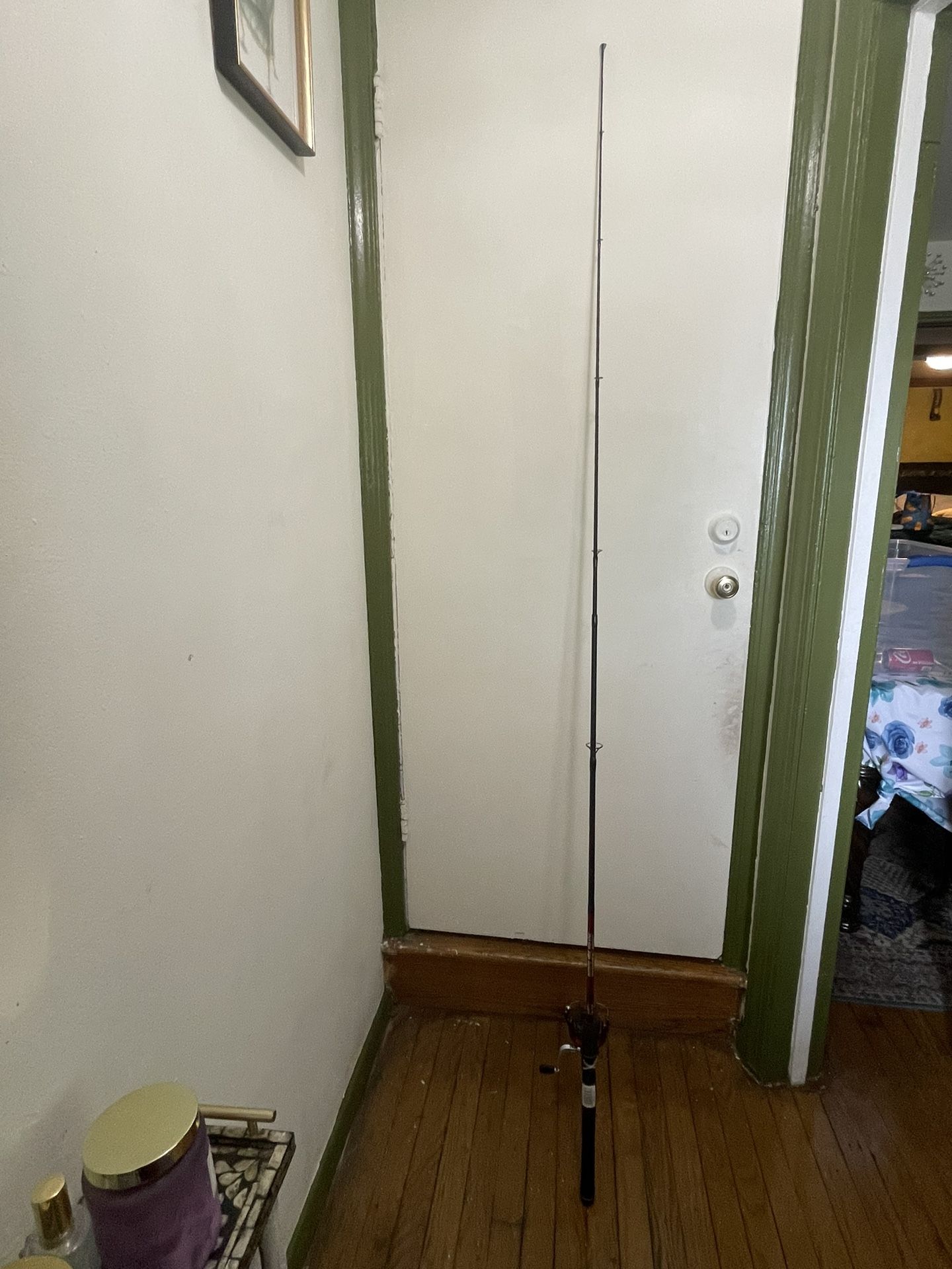 Fishing Rod
