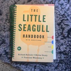 The Little Seagull