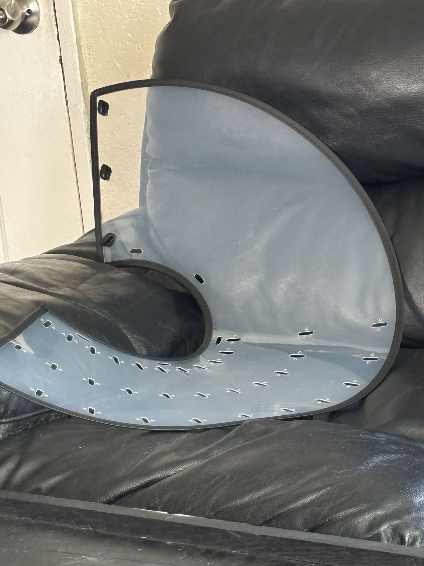 Large Pet Cone. NEVER USED.