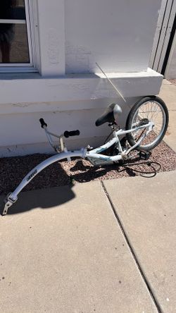 Free bike tandem, Christmas tree